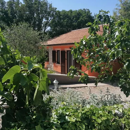The Forest House Krk 2 Kras Exterior photo